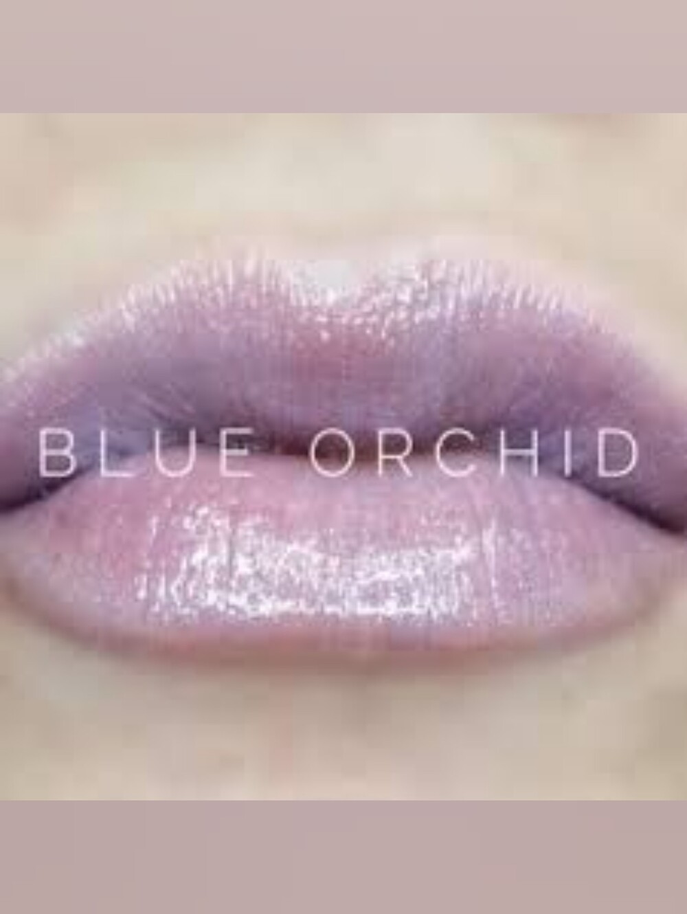 Blue Orchid Lipsense gloss